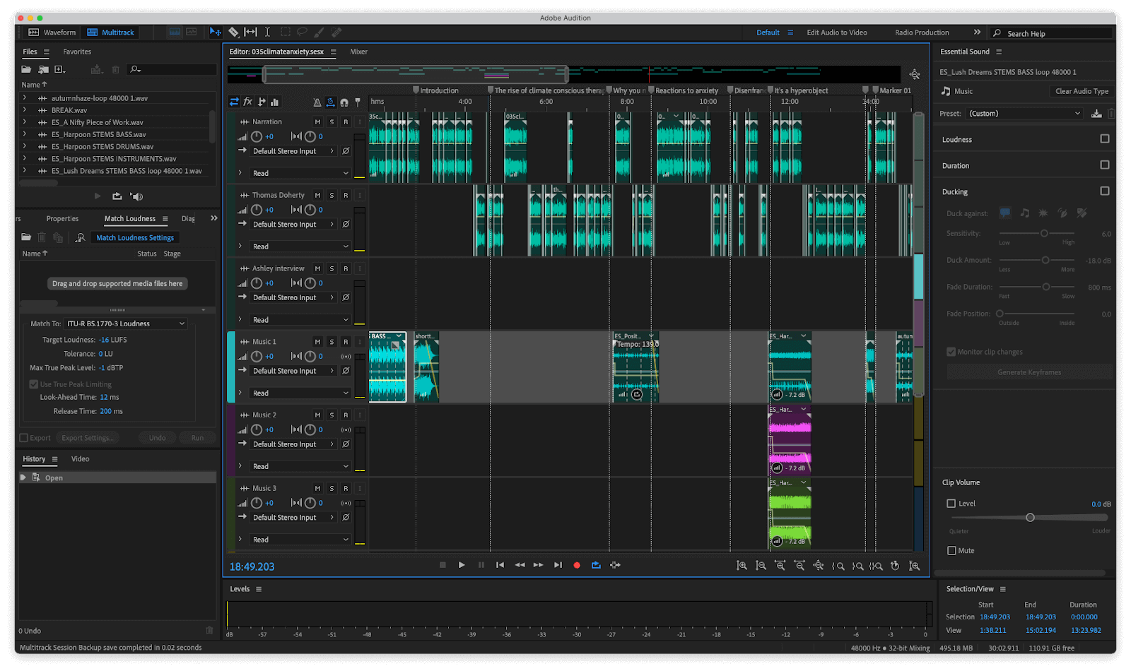 Adobe Audition project view