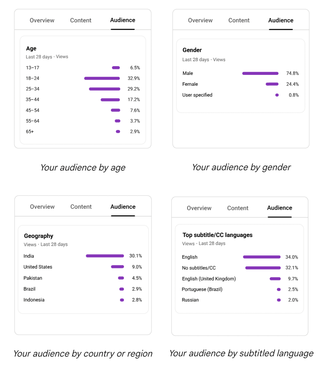 YouTube audience analytics charts