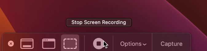 Image of Stop Screen Recording icon.