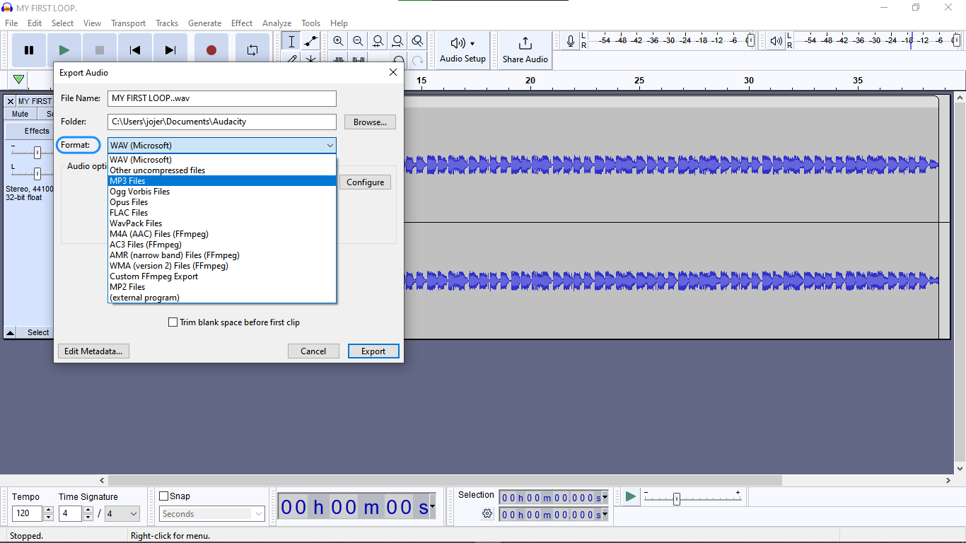 Choosing an audio file format in Audacity